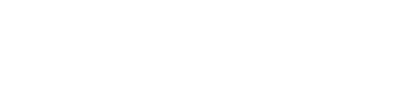 Brandit logo white